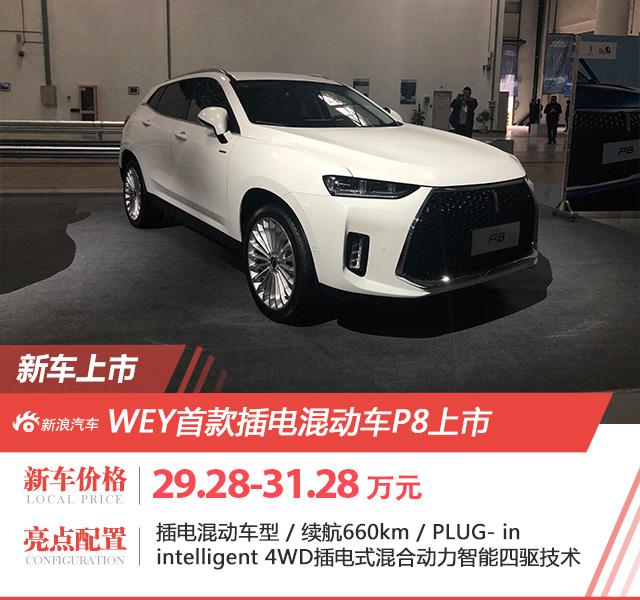 WEY׿ʽ(dng)܇P8 29.28f